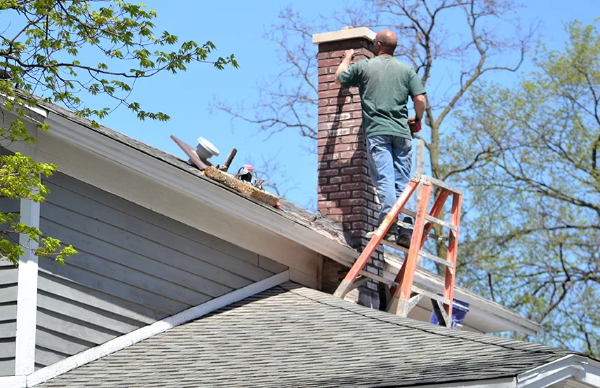Chimney & Fireplace Inspections Services in South Valley, UT